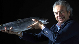 Upstream - Il salmone controcorrente di Claudio Cerati