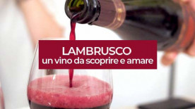 Lambrusco: un vino da scoprire e amare